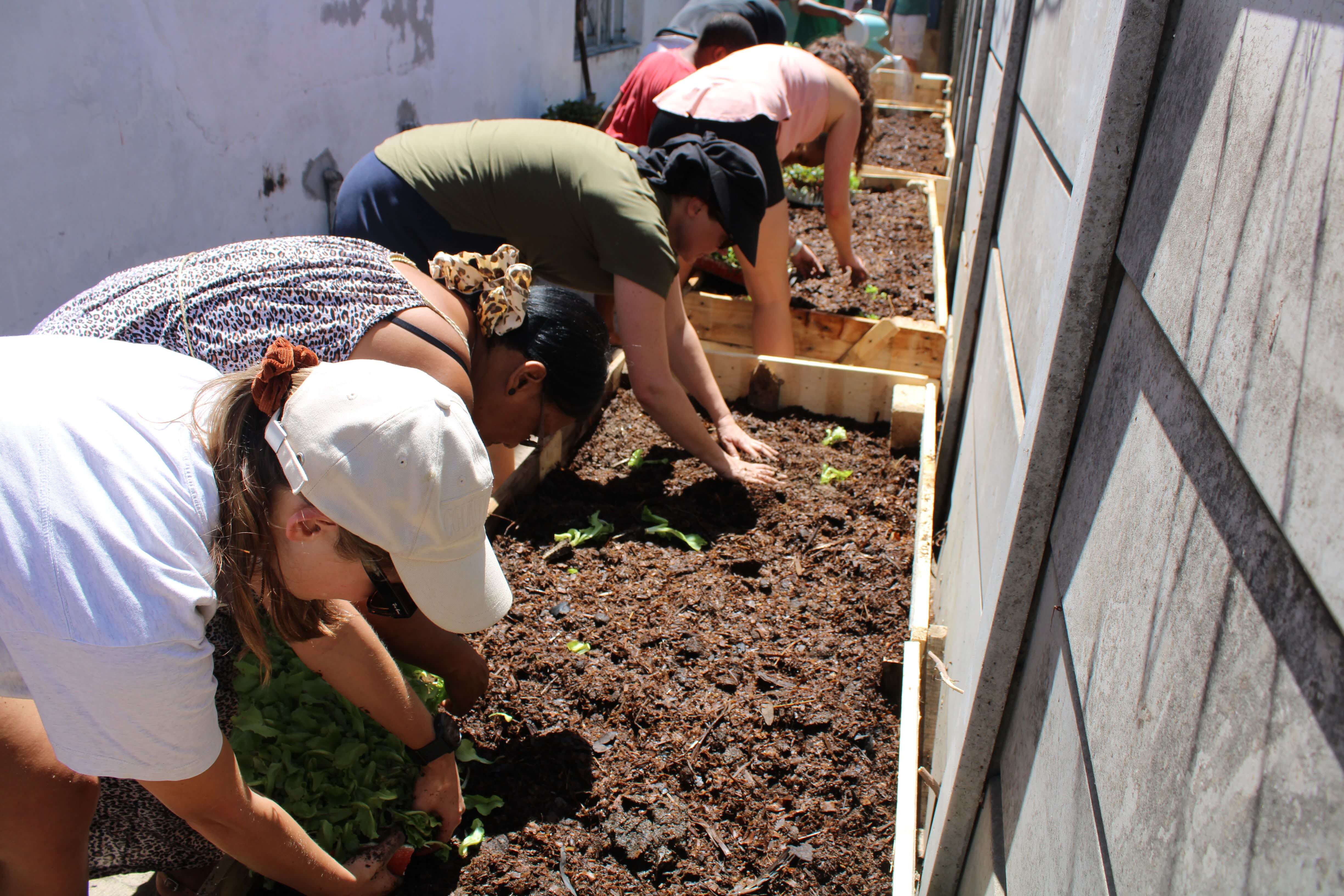 Food and Gardening Program